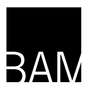 BAM Logo